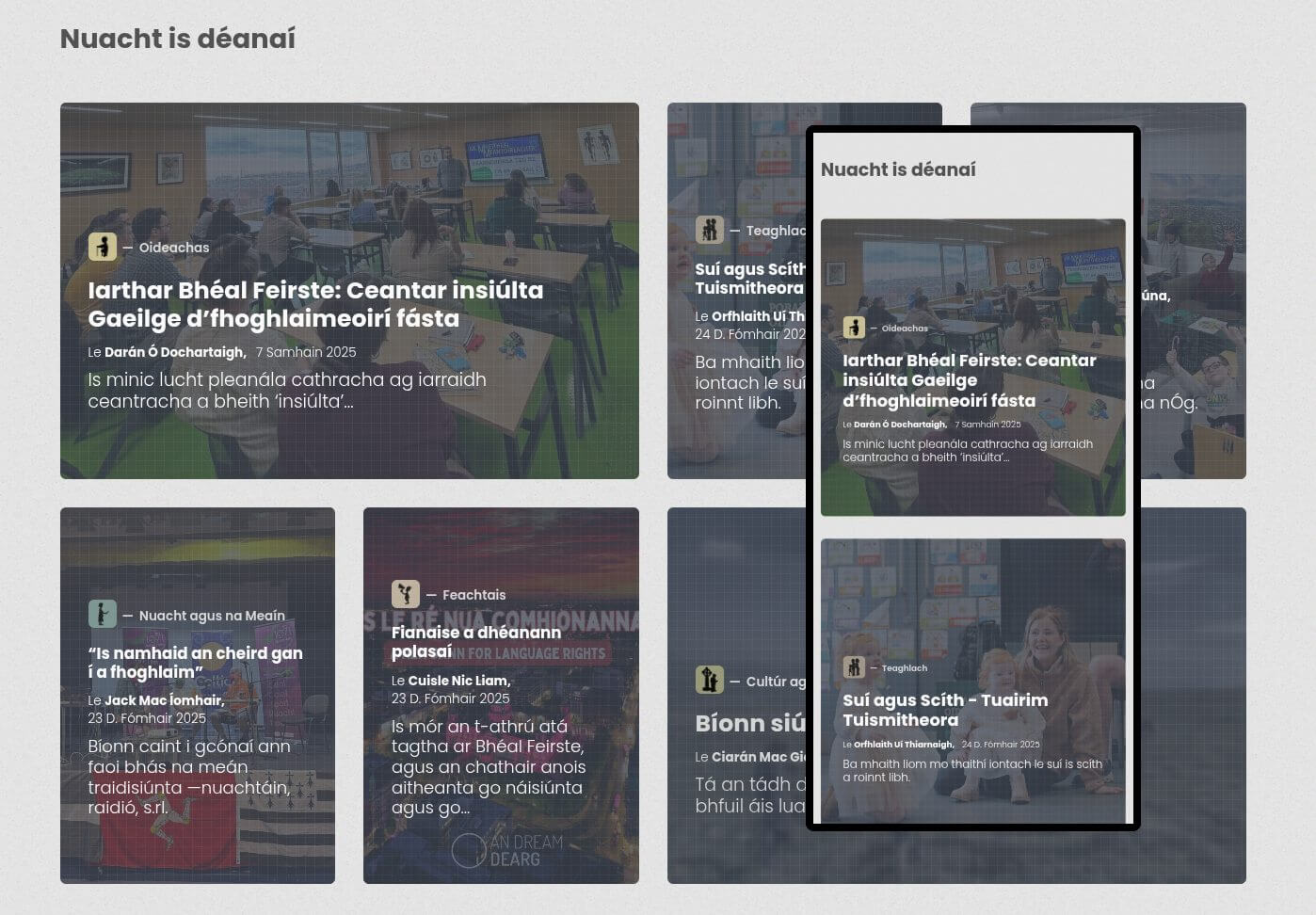 Project screenshot 2